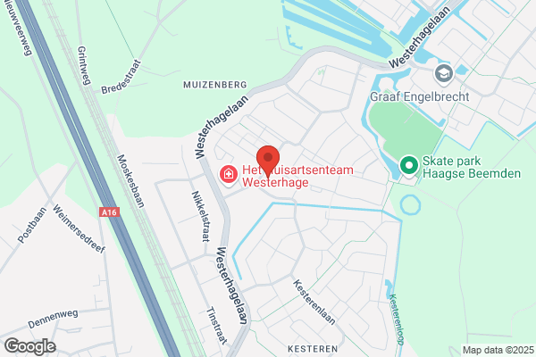 Domino's Pizza Breda Kesterenlaan