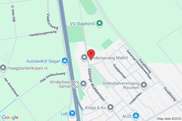 Aalwood