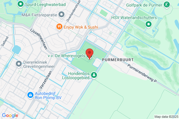 De Eysvogel