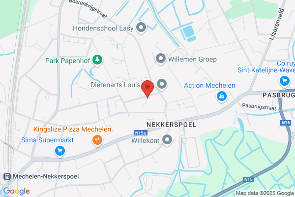 Werner Py Management Support