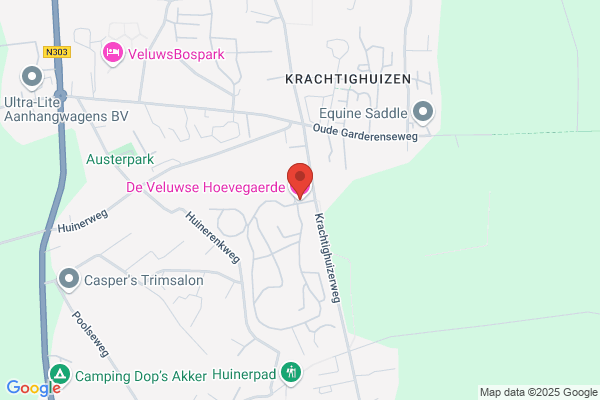Hoogstege & Partn