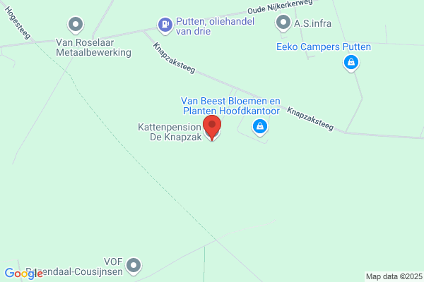 Kattenpension De Knapzak
