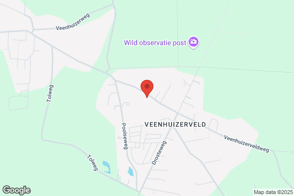 Veenhuizerveld Basissch Met De Bijbel