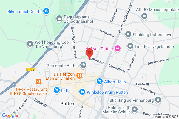 Nederlandsche Rode Kruis, Het