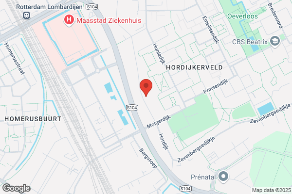 Baars Klassiek Homeopaat J