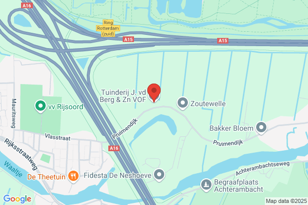 P. Van Den Berg
