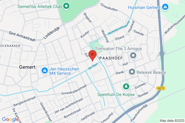 W. Lieshout Internationaal Transport