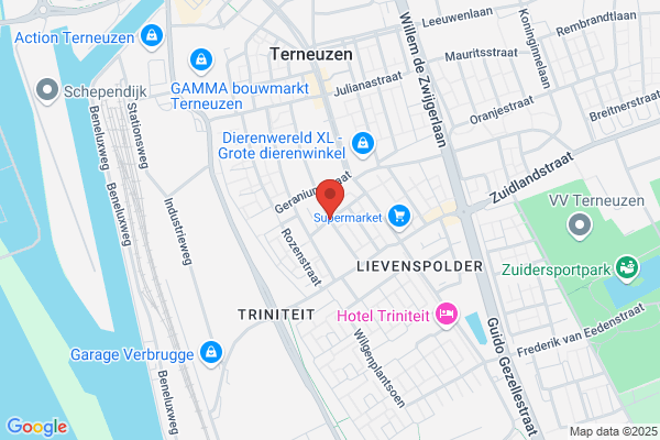 Buurthuis Kameleon