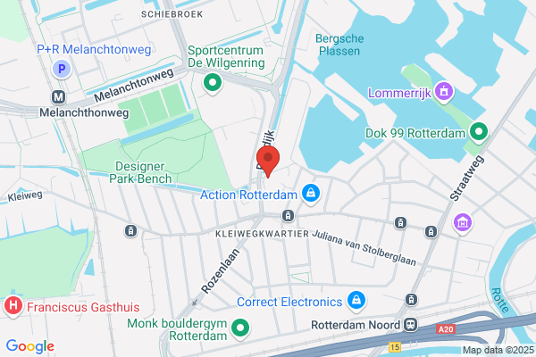 Vogelenzang De Jong, N