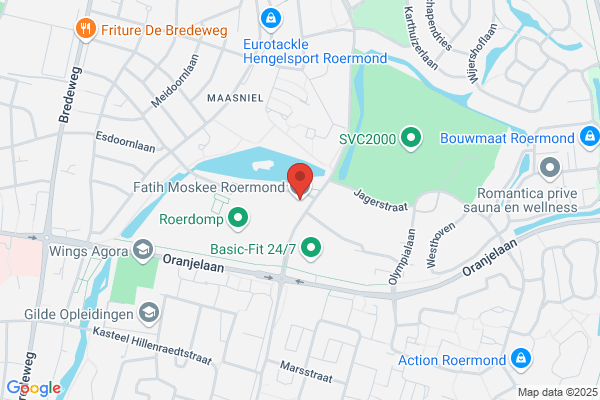 Limburgse Vrouwenraad