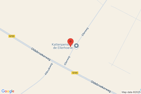 Rommens En Partn