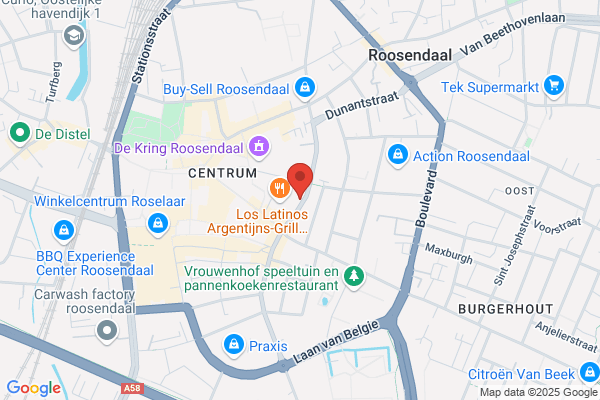 Acupunctuur B Y Berg P C Vd en geffroy