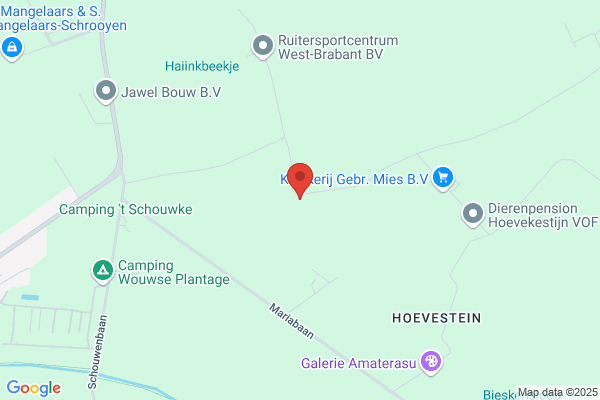 Rabarberkwekerij Mies BV