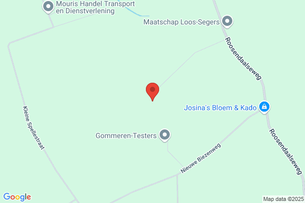 J M M Vd Vorst