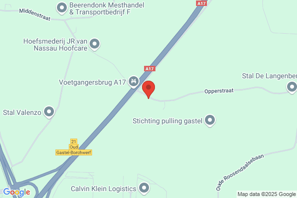 J.P.M. Nelen Bv