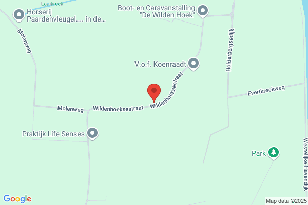 Bravenboer En Scheers Bv