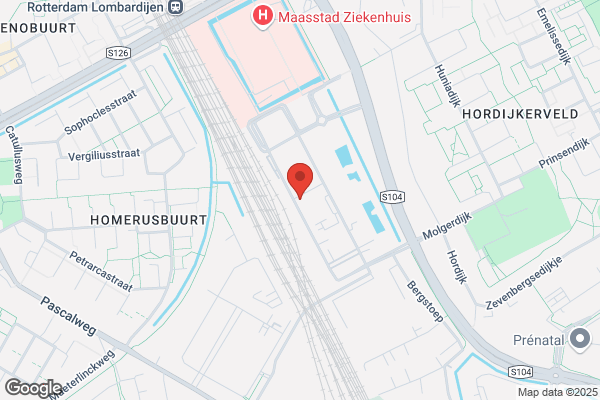 Goudzwaard, Jacomine
