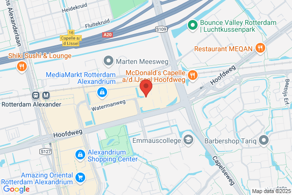 Lammerts Van Bueren, D G