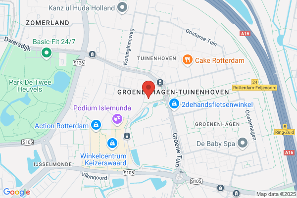 Groene De Palm