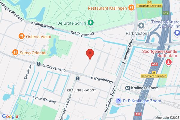 Dr B. De Wit Consult