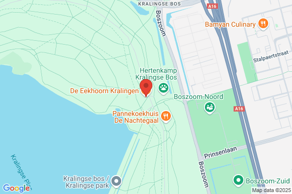 Eekhoorn, De
