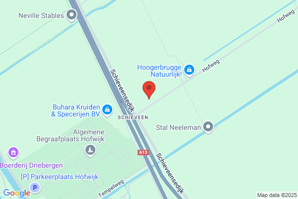 Handelmij A Klein Hesselink Rotterdam Bv