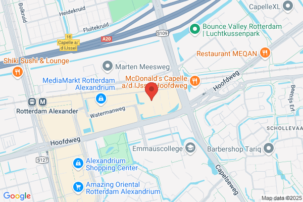 De Chinese Kunsthandel