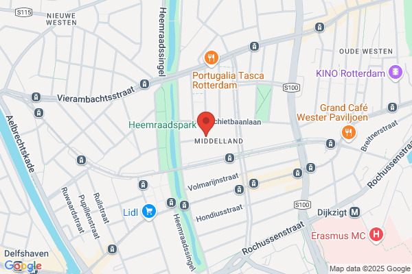 Beeldinzicht