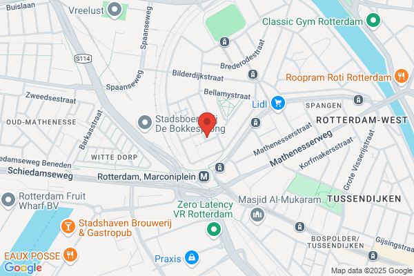 Haarinstituut Ned