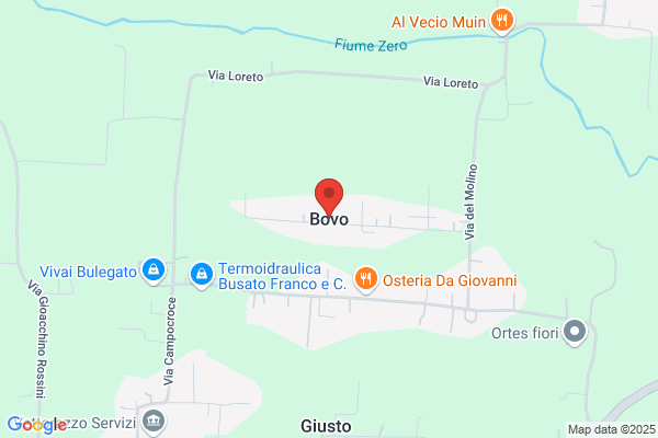 Bovo