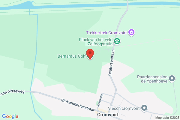 Bernardus