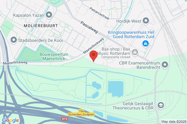 Jong, De