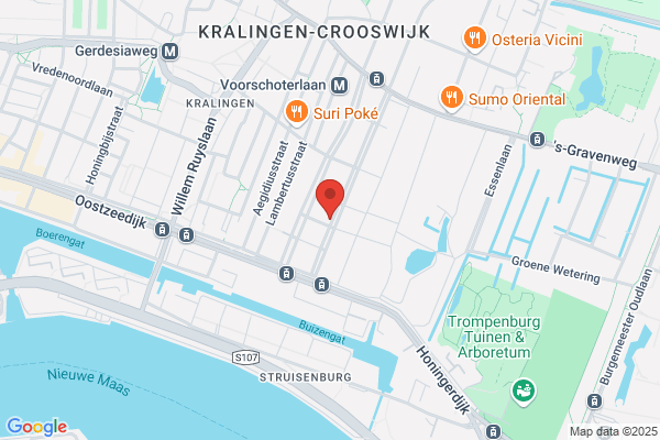 Bambodino Bv, Praktijk