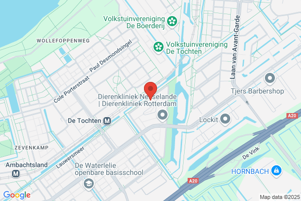 Voetencentrum Wender | Rotterdam Charley Toorop