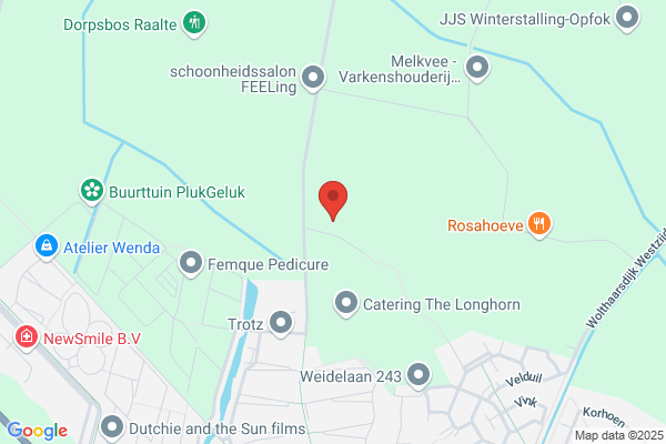 Raan, Het
