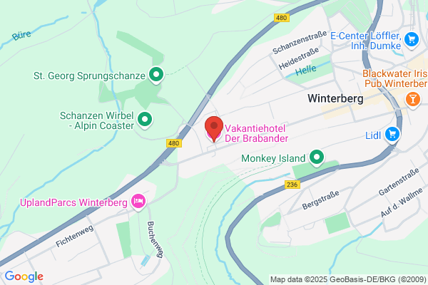 Snelle Brabander, De