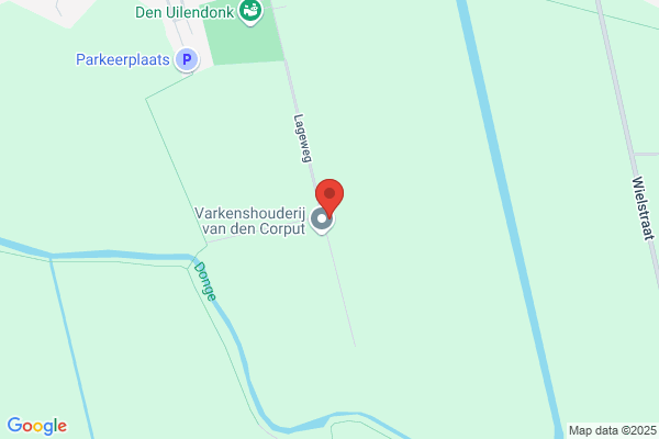 Zijlmans