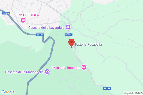 Rosabella