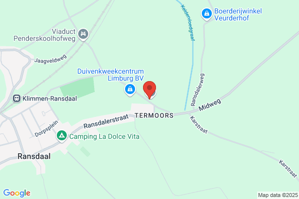 Biessonder deskundige begeleiding bij eenzaamheid