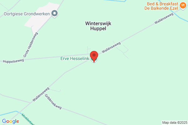 Erve Hesselink