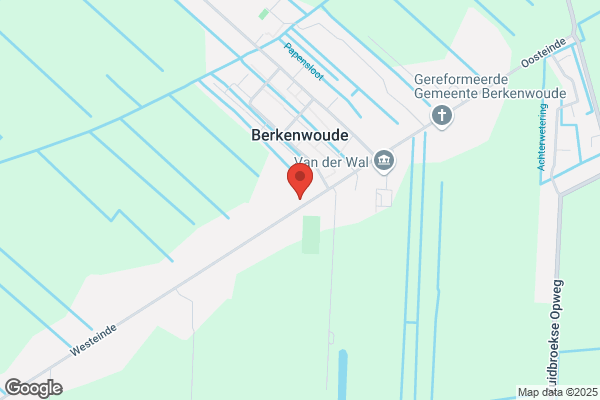 A A Van Buuren