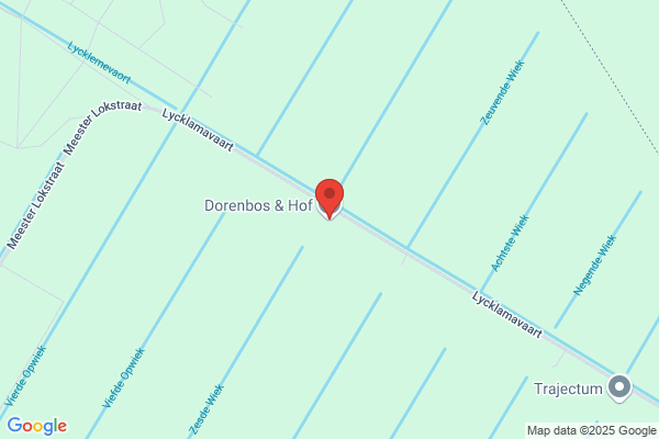 Dorenbos
