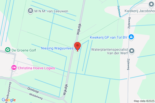 Firma Niesing & Van Veen