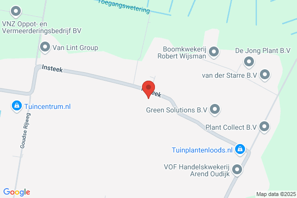 Lies Van Der Horst