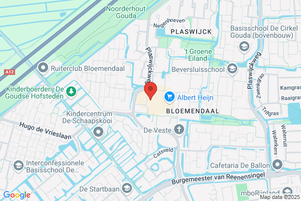 Action Gouda