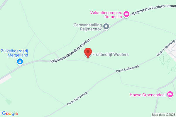 Dautzenberg, Kwekerij