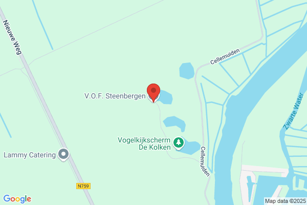 Steenbergen, C