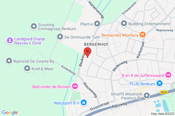 Cogen Netherlands