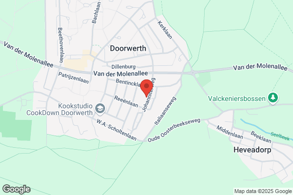 Spreeuw De Klusjesman