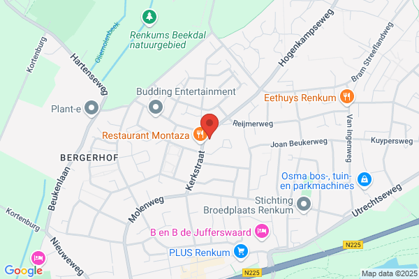 Chinees Indisch Restaurant De Grote Muur